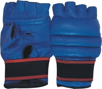 Boxing Mitts