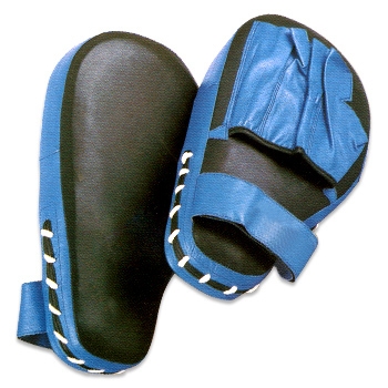 Focus Mitts