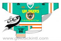 Sublimation Hockey Jersey