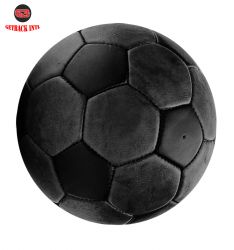 Genuine Leather Footballs