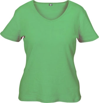 Ladies Short Sleeves Shirt