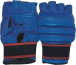Boxing Mitts