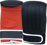 Boxing Mitts