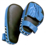 Focus Mitts