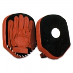 Focus Mitts