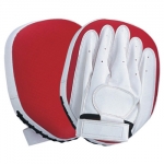 Focus Mitts