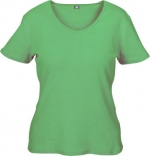Ladies Short Sleeves Shirt